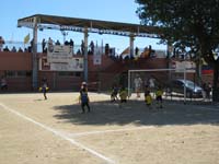 IMG_3519