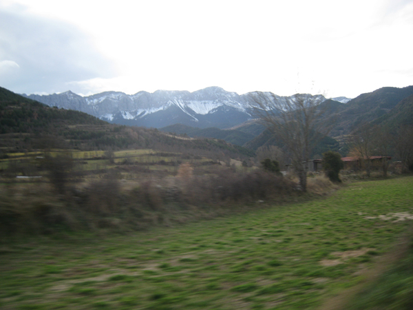 IMG_4421