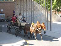 IMG_5543