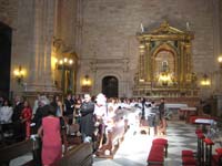 IMG_5566