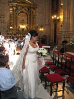 IMG_5569
