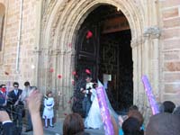 IMG_5594