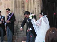 IMG_5599
